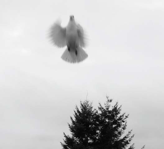 022214_x0015a