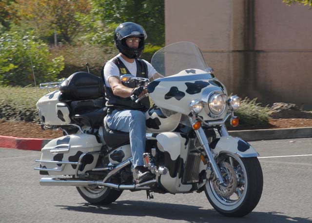 2133