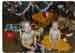 ryan_walker429